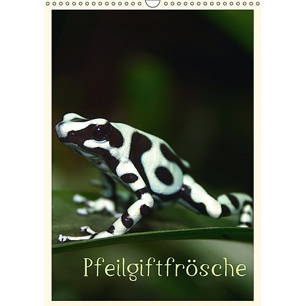 Pfeilgiftfrösche (Wandkalender 2018 DIN A3 hoch), B. Mielewczyk