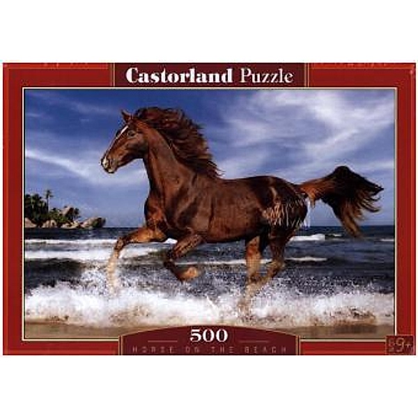 Pferd am Strand (Puzzle)