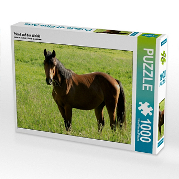 Pferd auf der Weide (Puzzle), N N