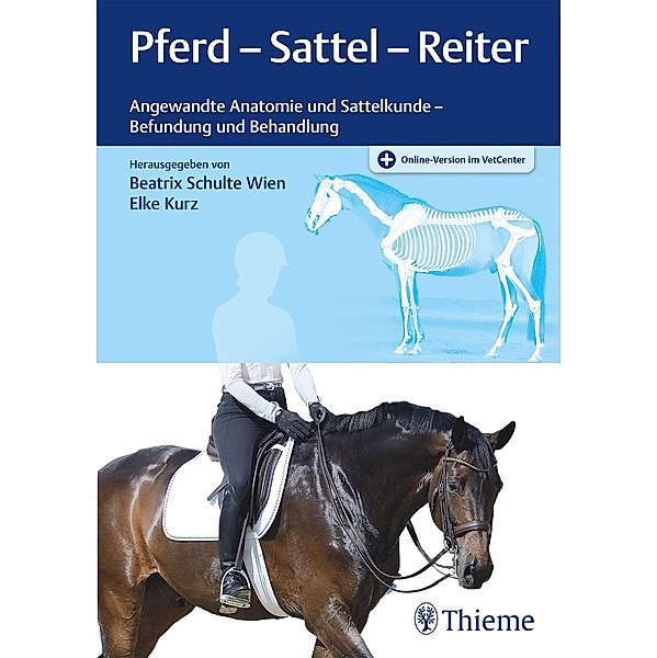 Pferd - Sattel - Reiter