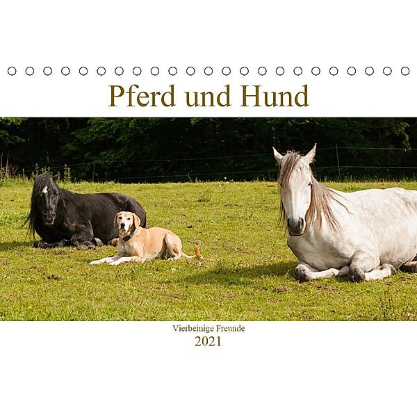 Pferd und Hund - Vierbeinige Freunde (Tischkalender 2021 DIN A5 quer), Meike Bölts