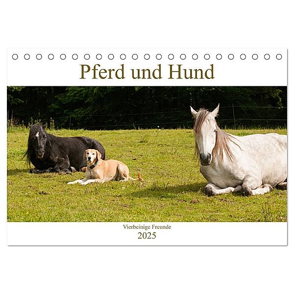 Pferd und Hund - Vierbeinige Freunde (Tischkalender 2025 DIN A5 quer), CALVENDO Monatskalender, Calvendo, Meike Bölts