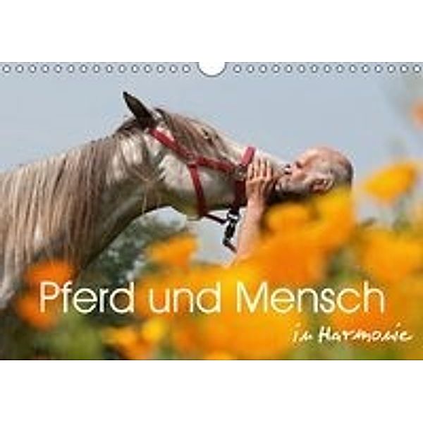 Pferd und Mensch in Harmonie (Wandkalender 2016 DIN A4 quer), Meike Bölts