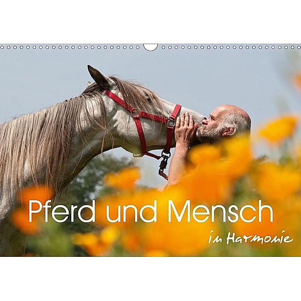 Pferd und Mensch in Harmonie (Wandkalender 2020 DIN A3 quer), Meike Bölts