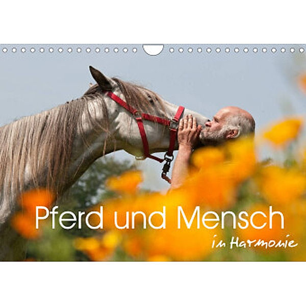 Pferd und Mensch in Harmonie (Wandkalender 2022 DIN A4 quer), Meike Bölts