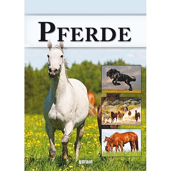 Pferde