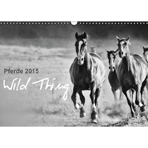 Pferde 2015 Wild Thing (Wandkalender 2015 DIN A3 quer), Sabine Peters