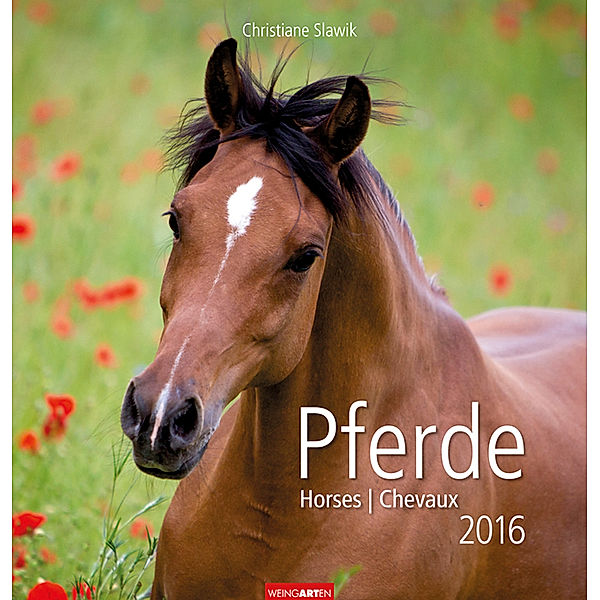 Pferde 2016, Christiane Slawik