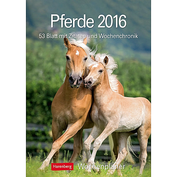 Pferde 2016, Christiane Slawik