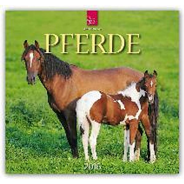 Pferde 2016