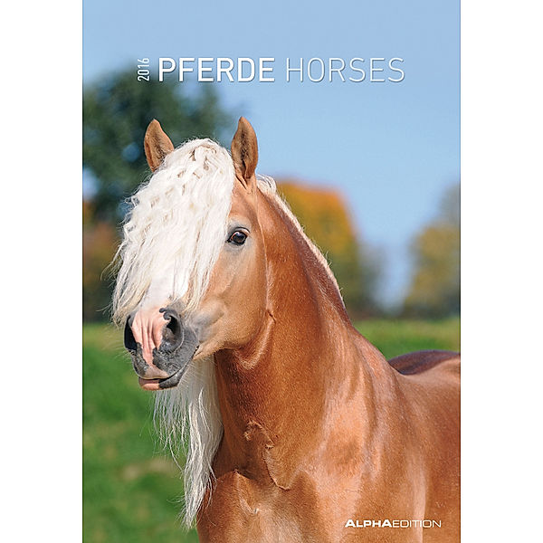 Pferde 2016. Horses