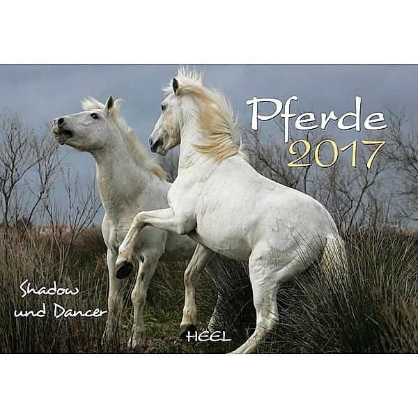 Pferde 2017