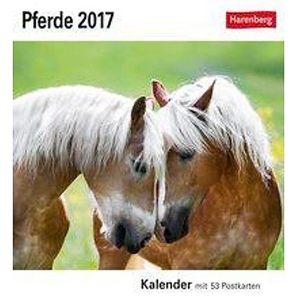 Pferde 2017, Christiane Slawik