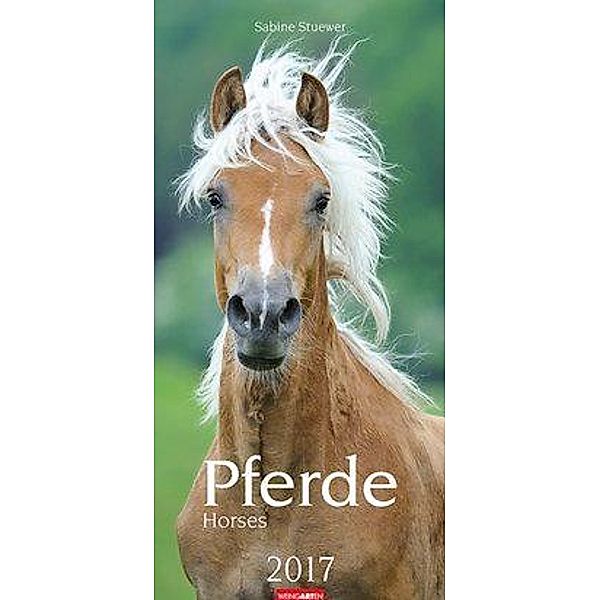 Pferde 2017, Sabine Stuewer