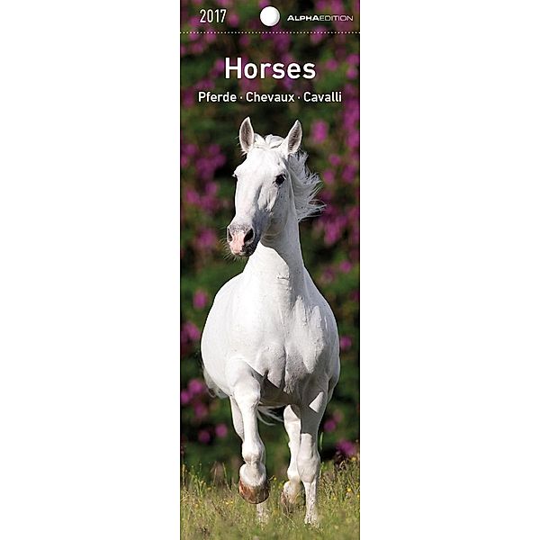 Pferde 2017 Lesezeichenkalender