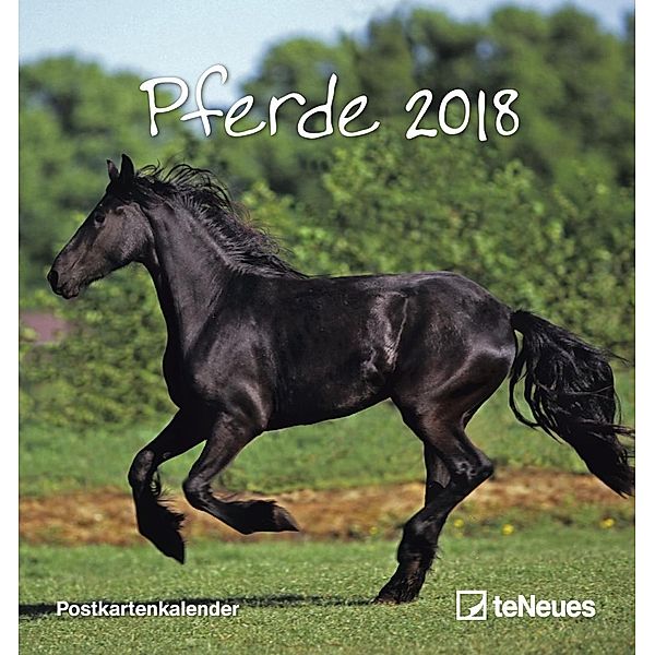 Pferde 2018