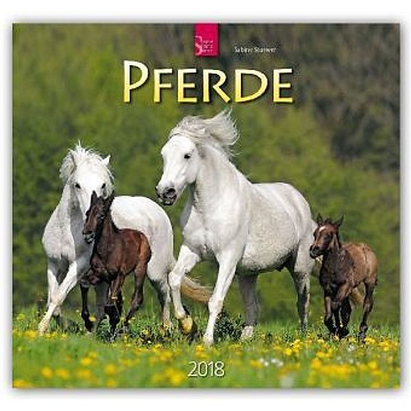 Pferde 2018