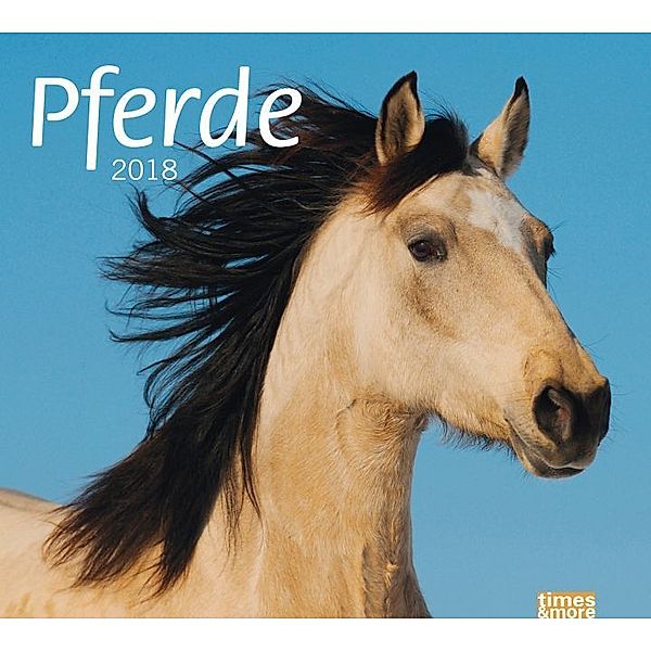 Pferde 2018