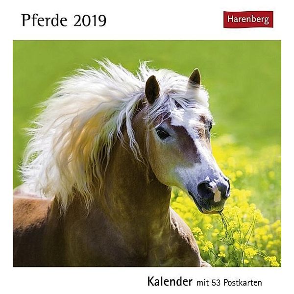 Pferde 2019, Christiane Slawik