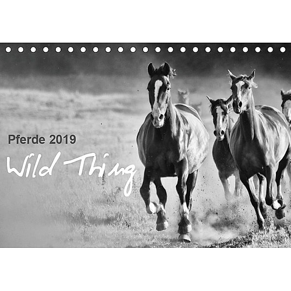 Pferde 2019 Wild Thing (Tischkalender 2019 DIN A5 quer), Sabine Peters