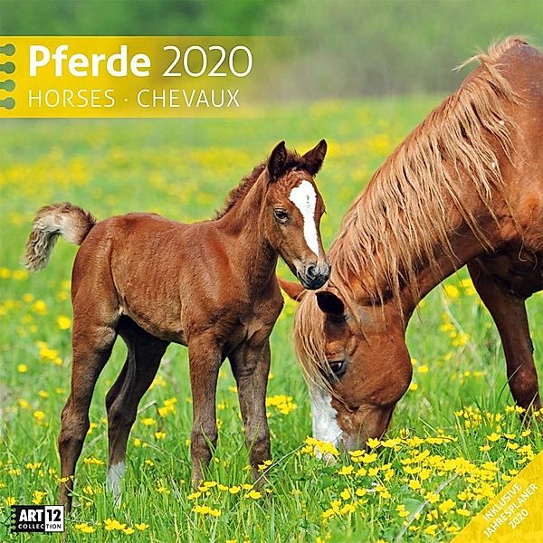 Pferde 2020