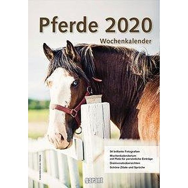 Pferde 2020