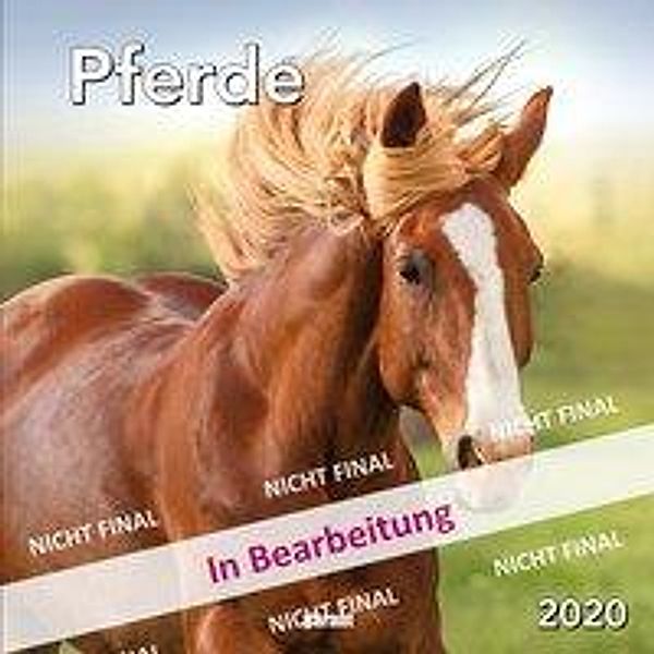 Pferde 2020