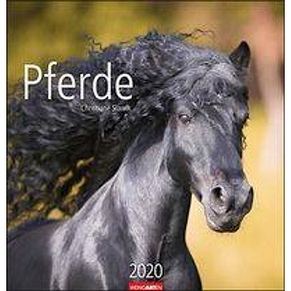 Pferde 2020, Christiane Slawik