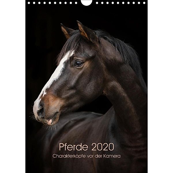 Pferde 2020 - Charakterköpfe vor der Kamera (Wandkalender 2020 DIN A4 hoch), Paula Müller