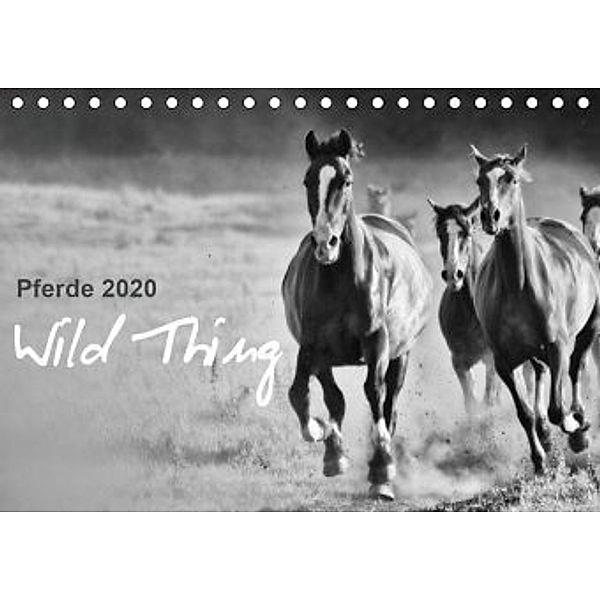 Pferde 2020 Wild Thing (Tischkalender 2020 DIN A5 quer), Sabine Peters