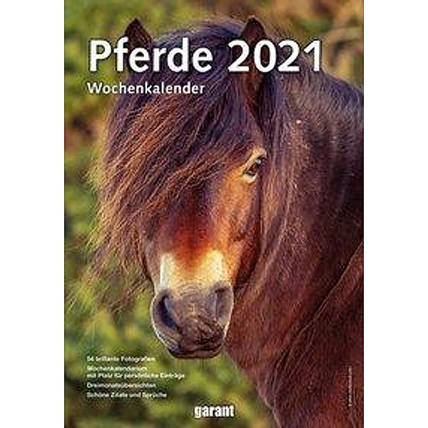 Pferde 2021