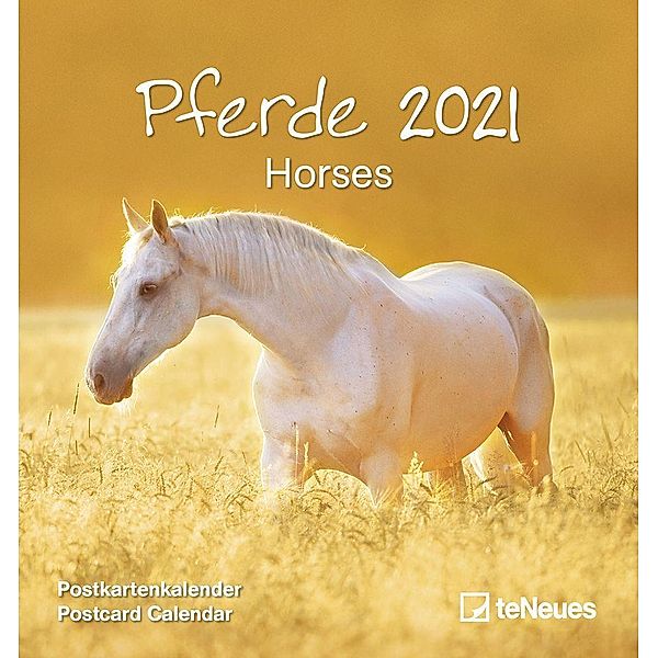 Pferde 2021