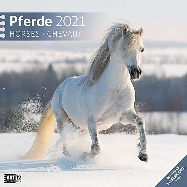 Pferde 2021