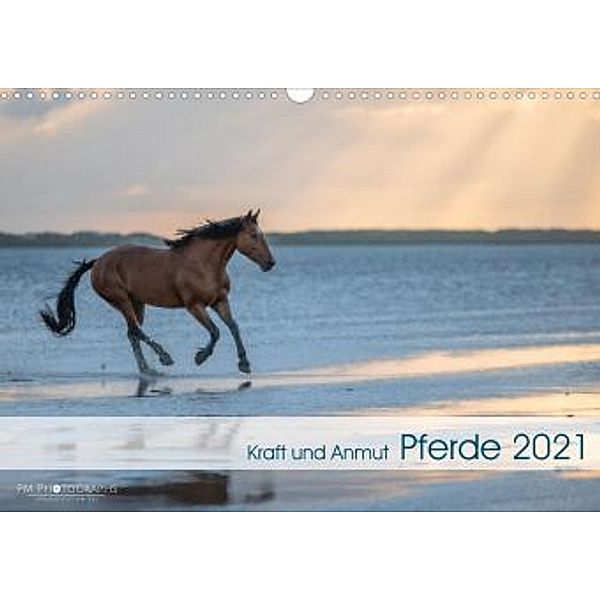 Pferde 2021 Kraft und Anmut (Wandkalender 2021 DIN A3 quer), Paula Müller