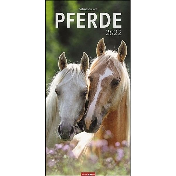 Pferde 2022, Sabine Stuewer