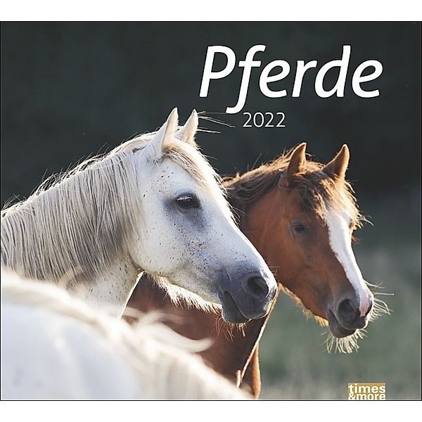 Pferde 2022, Sabine Stuewer