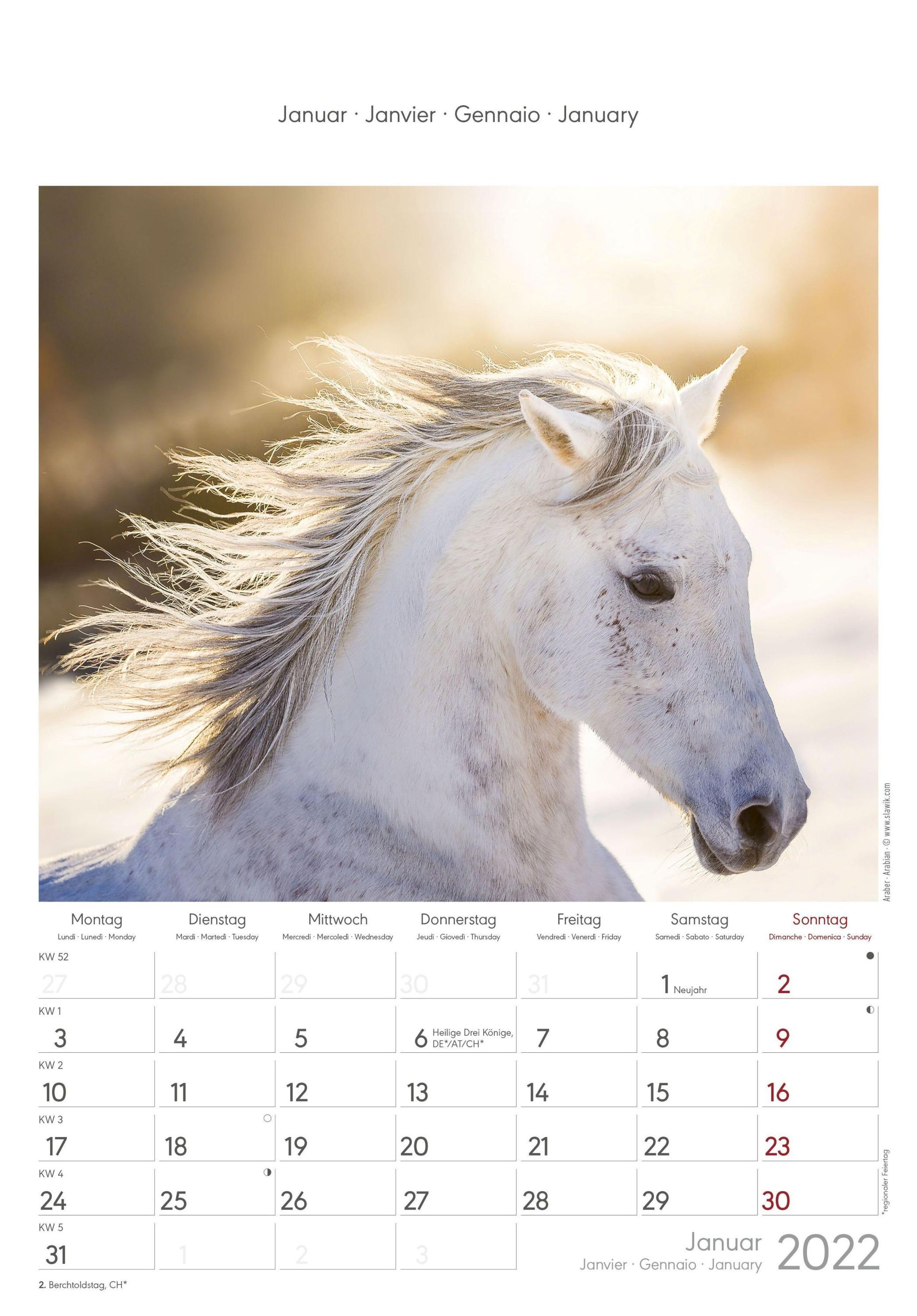 Pferde 2022 - Bildkalender 23,7x34 cm - Kalender mit Platz für Notizen -  mit vielen Zusatzinformationen - Horses - Wandk - Kalender bestellen