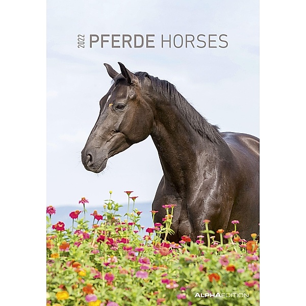 Pferde 2022 - Bildkalender 23,7x34 cm - Kalender mit Platz für Notizen - mit vielen Zusatzinformationen - Horses - Wandk