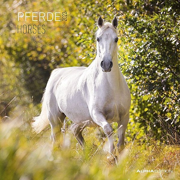 Pferde 2022 - Broschürenkalender 30x30 cm (30x60 geöffnet) - Kalender mit Platz für Notizen - Horses - Bildkalender - Wa