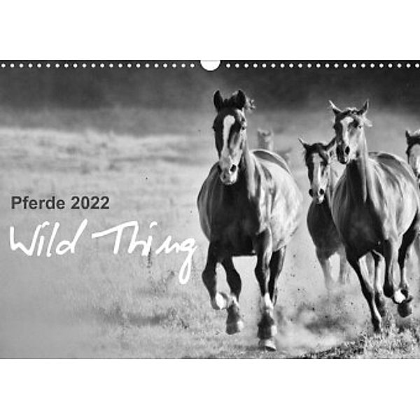 Pferde 2022 Wild Thing (Wandkalender 2022 DIN A3 quer), Sabine Peters