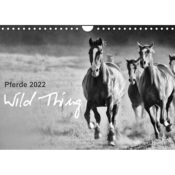 Pferde 2022 Wild Thing (Wandkalender 2022 DIN A4 quer), Sabine Peters