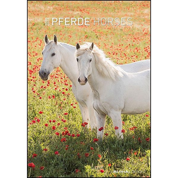 Pferde 2023 - Bildkalender 23,7x34 cm - Kalender mit Platz für Notizen - mit vielen Zusatzinformationen - Horses - Wandk