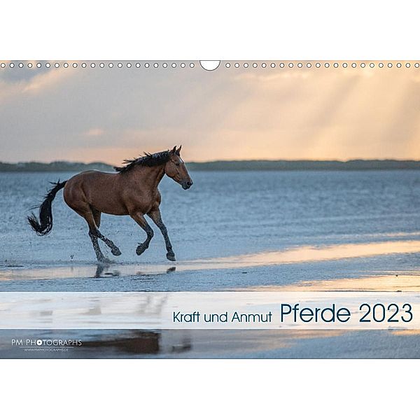 Pferde 2023 Kraft und Anmut (Wandkalender 2023 DIN A3 quer), Paula Müller
