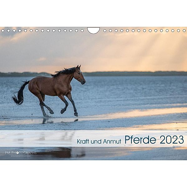 Pferde 2023 Kraft und Anmut (Wandkalender 2023 DIN A4 quer), Paula Müller