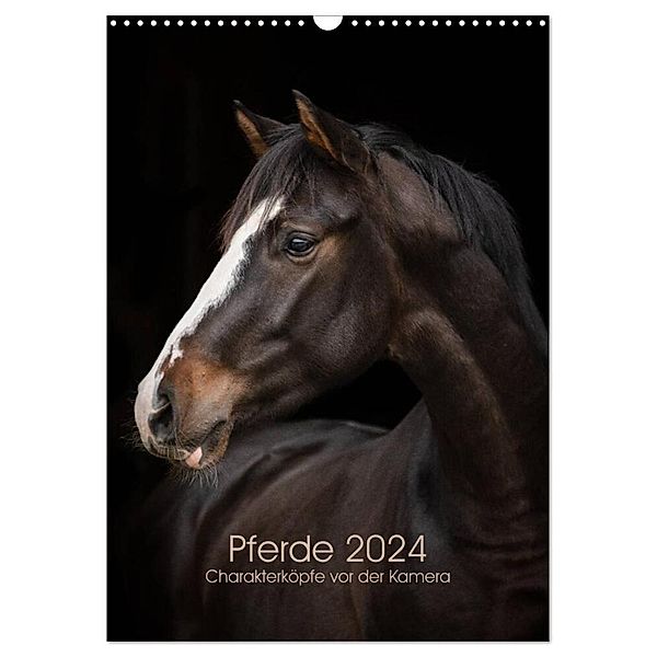 Pferde 2024 - Charakterköpfe vor der Kamera (Wandkalender 2024 DIN A3 hoch), CALVENDO Monatskalender, Paula Müller