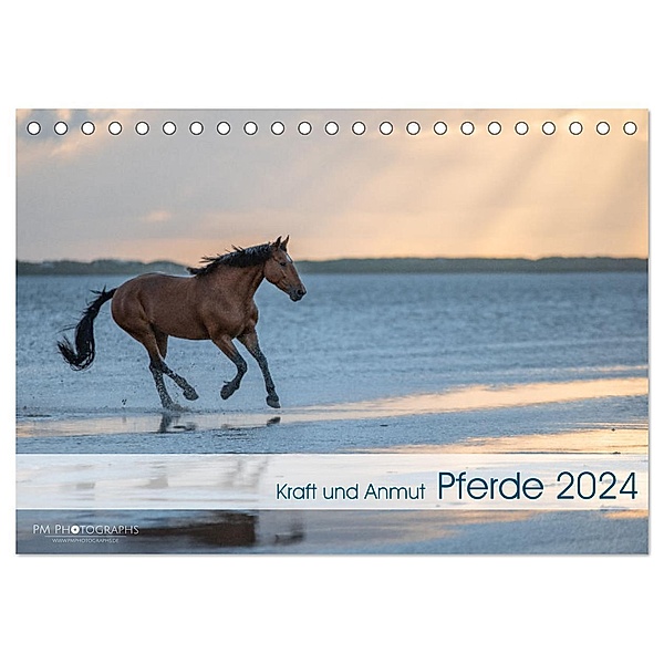 Pferde 2024 Kraft und Anmut (Tischkalender 2024 DIN A5 quer), CALVENDO Monatskalender, Paula Müller