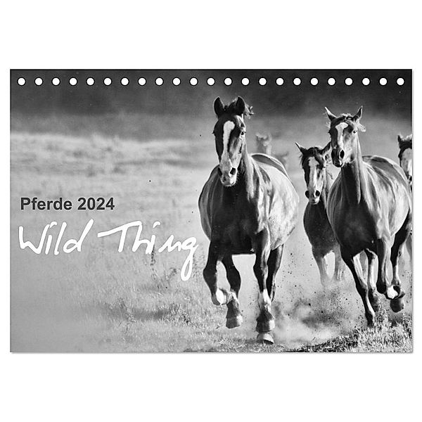 Pferde 2024 Wild Thing (Tischkalender 2024 DIN A5 quer), CALVENDO Monatskalender, Sabine Peters