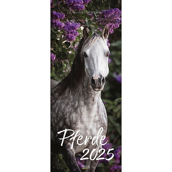 Pferde 2025