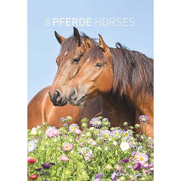 Pferde 2025 - Bildkalender 23,7x34 cm - Kalender mit Platz für Notizen - mit vielen Zusatzinformationen - Horses - Wandkalender - Alpha Edition