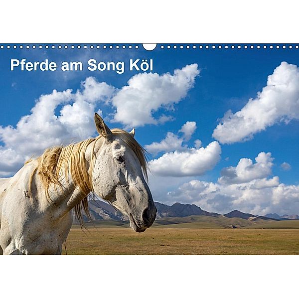 Pferde am Song Köl (Wandkalender 2020 DIN A3 quer), Winfried Rusch
